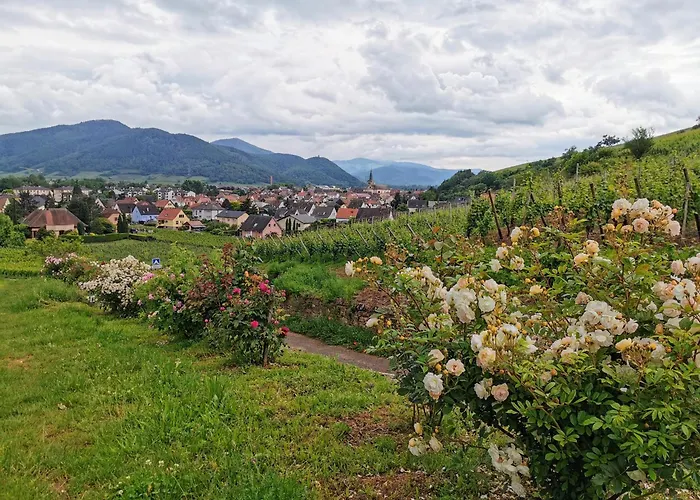 La Grange De Josephine Turckheim